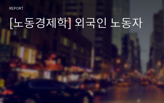 [노동경제학] 외국인 노동자