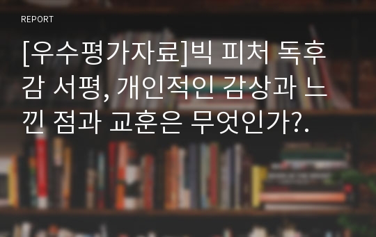 [우수평가자료]빅 피처 독후감 서평, 개인적인 감상과 느낀 점과 교훈은 무엇인가?.