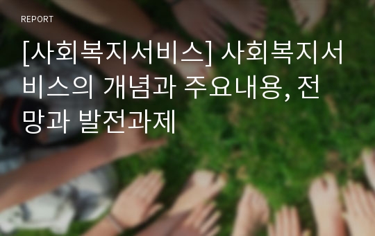 [사회복지서비스] 사회복지서비스의 개념과 주요내용, 전망과 발전과제