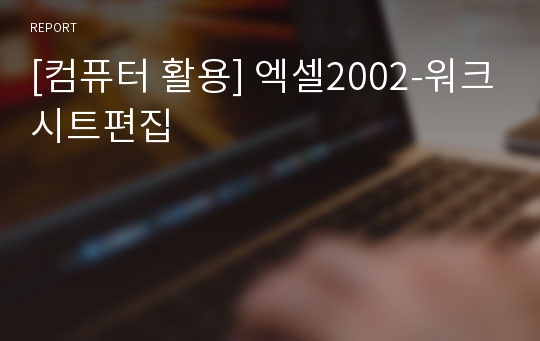 [컴퓨터 활용] 엑셀2002-워크시트편집