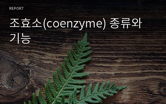 조효소(coenzyme) 종류와 기능