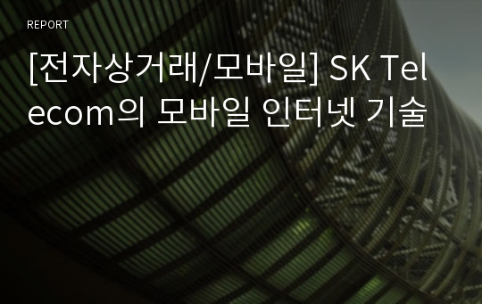 [전자상거래/모바일] SK Telecom의 모바일 인터넷 기술
