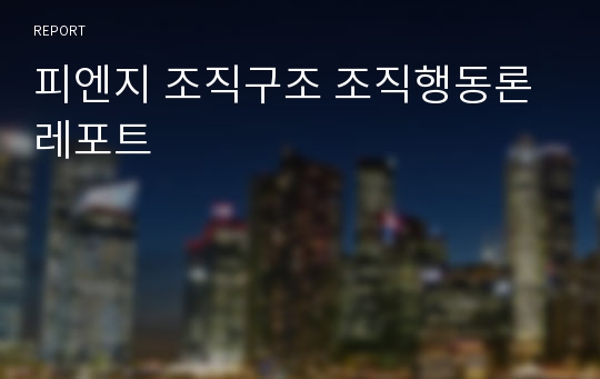 피엔지 조직구조 조직행동론 레포트