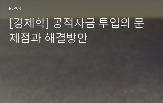 [경제학] 공적자금 투입의 문제점과 해결방안