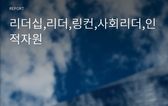 리더십,리더,링컨,사회리더,인적자원