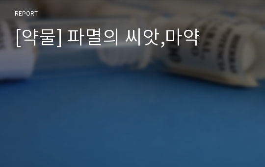 [약물] 파멸의 씨앗,마약