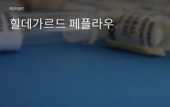 힐데가르드 페플라우