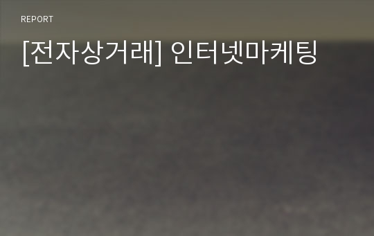 [전자상거래] 인터넷마케팅