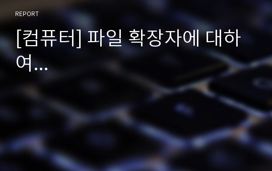 [컴퓨터] 파일 확장자에 대하여...