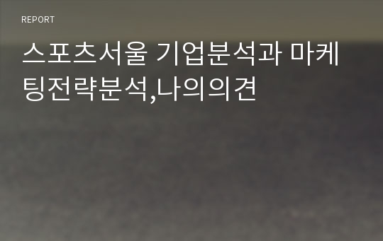 스포츠서울 기업분석과 마케팅전략분석,나의의견