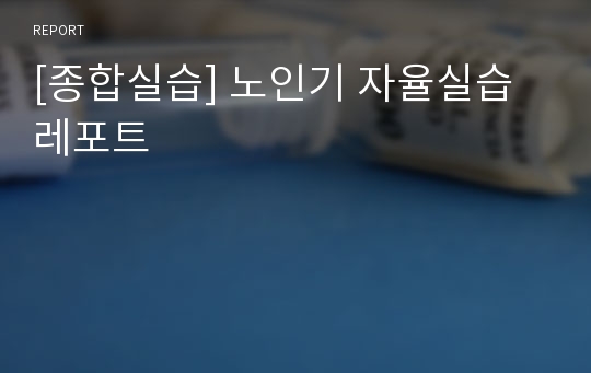 [종합실습] 노인기 자율실습레포트