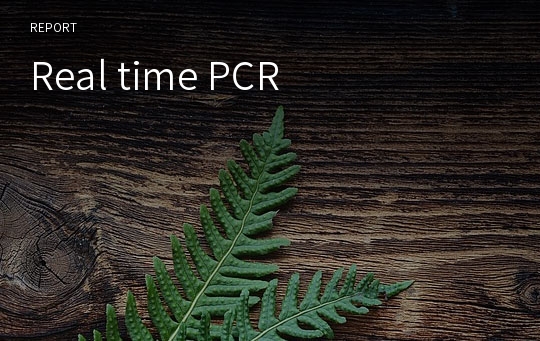 Real time PCR