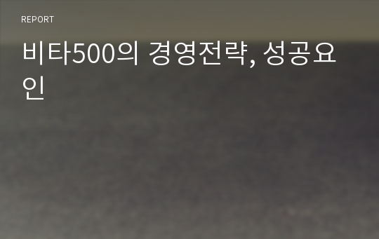 비타500의 경영전략, 성공요인