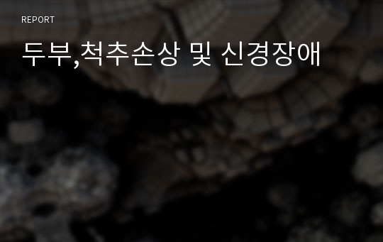 두부,척추손상 및 신경장애