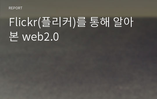 Flickr(플리커)를 통해 알아본 web2.0