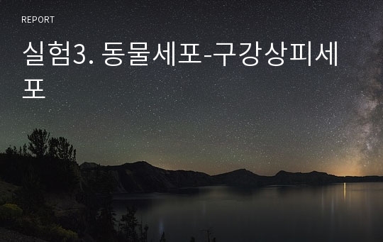 실험3. 동물세포-구강상피세포