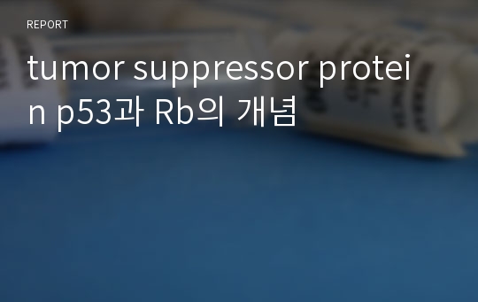 tumor suppressor protein p53과 Rb의 개념
