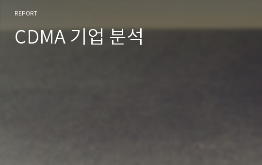 CDMA 기업 분석