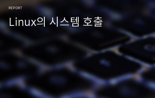 Linux의 시스템 호출