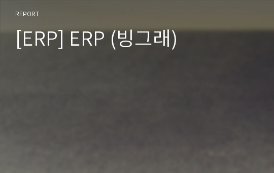 [ERP] ERP (빙그래)