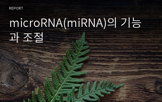 microRNA(miRNA)의 기능과 조절