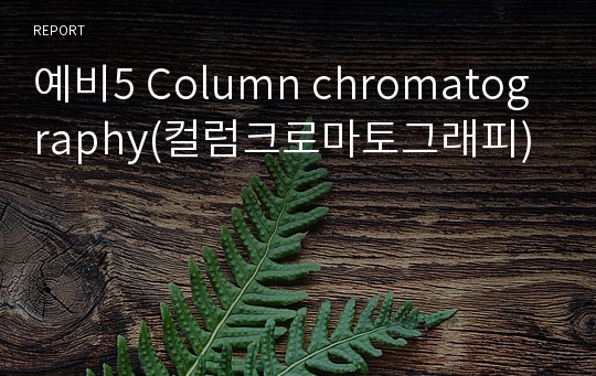 예비5 Column chromatography(컬럼크로마토그래피)