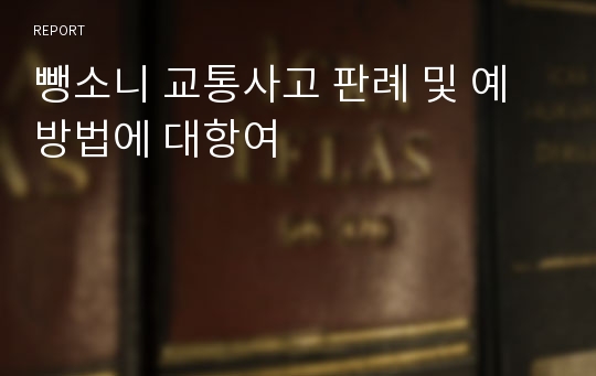 뺑소니 교통사고 판례 및 예방법에 대항여