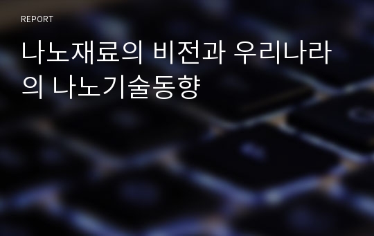 나노재료의 비전과 우리나라의 나노기술동향