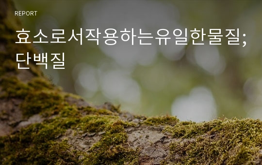 효소로서작용하는유일한물질;단백질