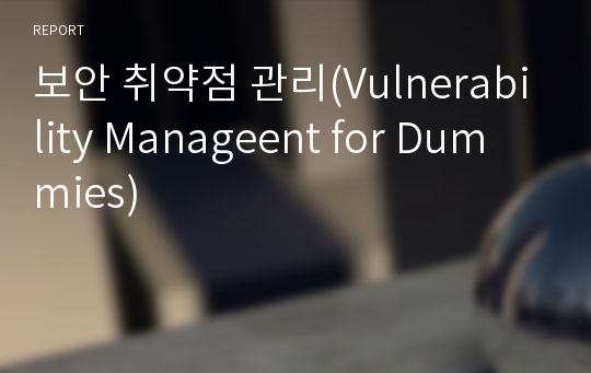 보안 취약점 관리(Vulnerability Manageent for Dummies)