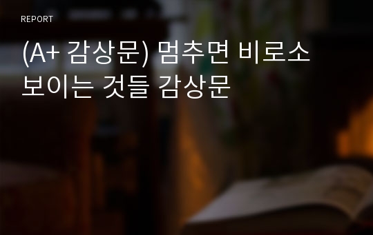 (A+ 감상문) 멈추면 비로소 보이는 것들 감상문