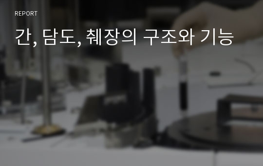 간, 담도, 췌장의 구조와 기능