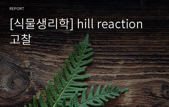 [식물생리학] hill reaction 고찰