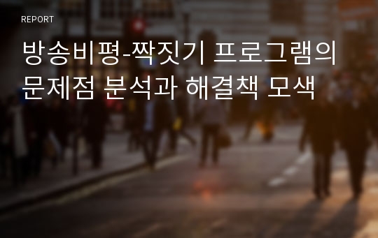 방송비평-짝짓기 프로그램의 문제점 분석과 해결책 모색