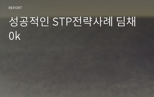 성공적인 STP전략사례 딤채0k