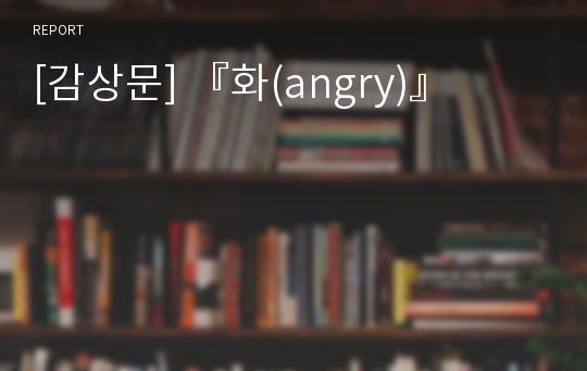 [감상문] 『화(angry)』