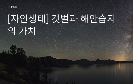 [자연생태] 갯벌과 해안습지의 가치