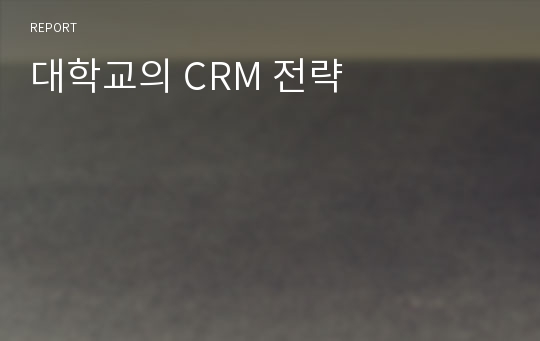 대학교의 CRM 전략