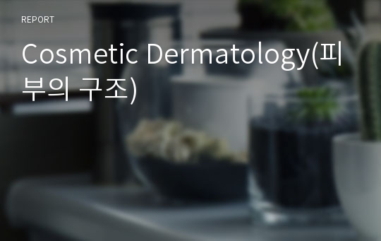 Cosmetic Dermatology(피부의 구조)