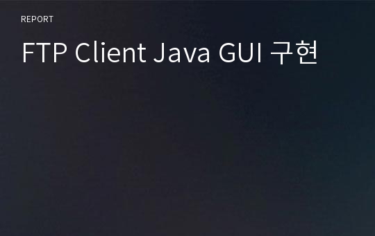 FTP Client Java GUI 구현