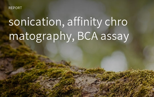 sonication, affinity chromatography, BCA assay