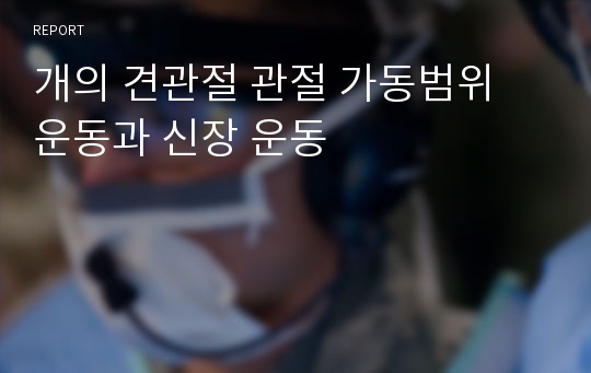 개의 견관절 관절 가동범위 운동과 신장 운동