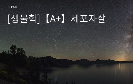 [생물학]【A+】세포자살