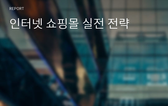 인터넷 쇼핑몰 실전 전략