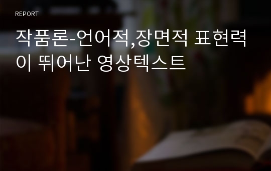 작품론-언어적,장면적 표현력이 뛰어난 영상텍스트