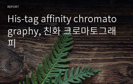 His-tag affinity chromatography, 친화 크로마토그래피