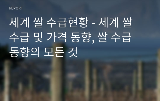 세계 쌀 수급현황 - 세계 쌀 수급 및 가격 동향, 쌀 수급 동향의 모든 것