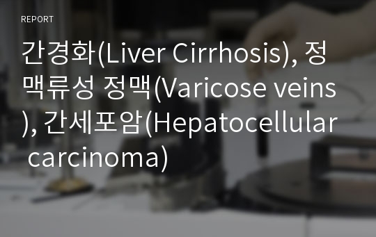 간경화(Liver Cirrhosis), 정맥류성 정맥(Varicose veins), 간세포암(Hepatocellular carcinoma)