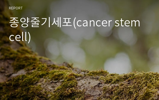 종양줄기세포(cancer stem cell)