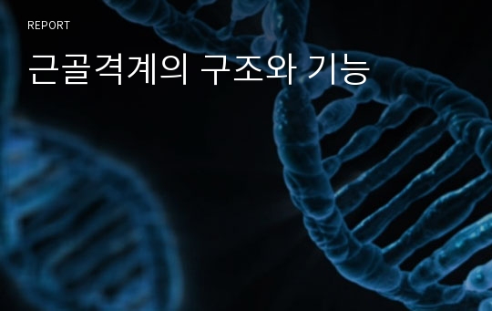 근골격계의 구조와 기능